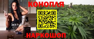 стаф Норильск