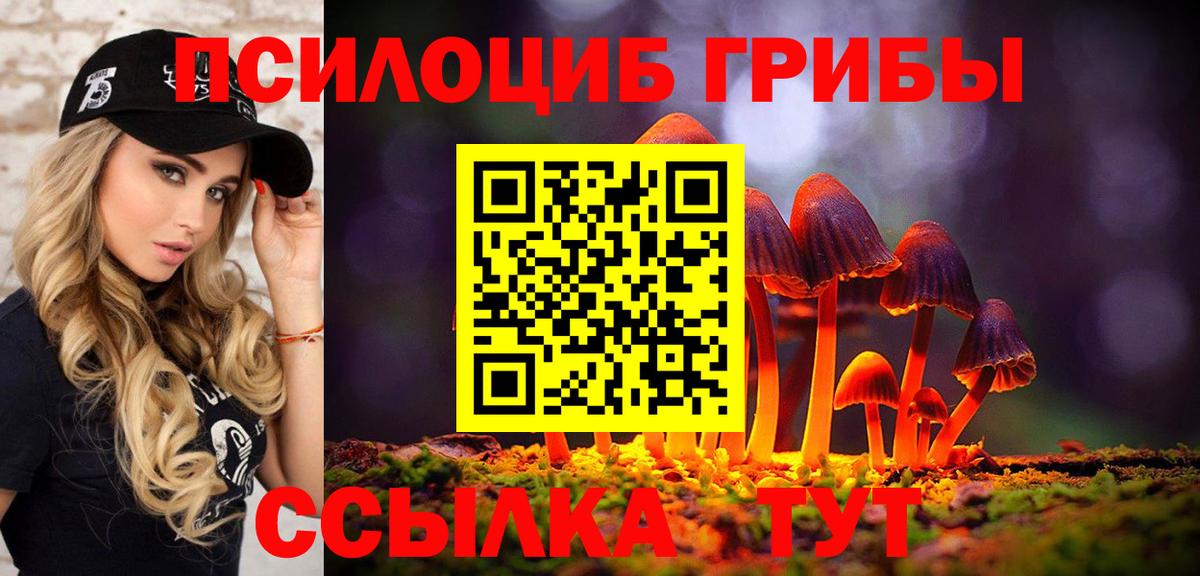 Галлюциногенные грибы мухоморы  Галлюциногенные грибы Psilocybe  Вход с VPN  цена наркотик  Богородск 