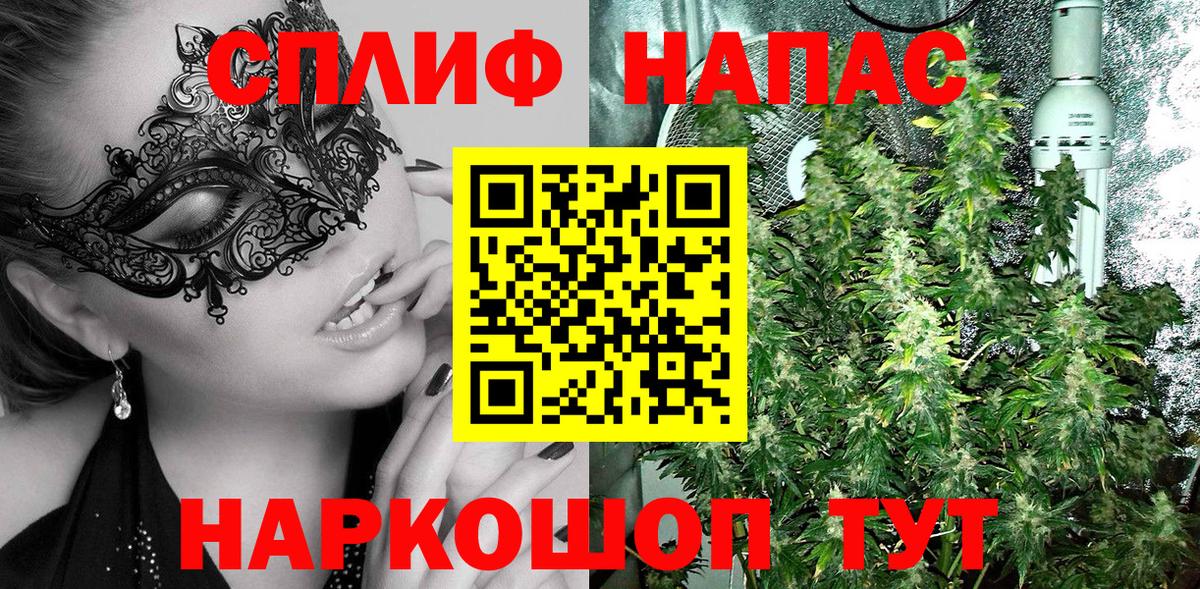 Бошки марихуана AK-47  Бошки Шишки Amnesia  Вход с VPN  Богородск  Шишки марихуана сатива 